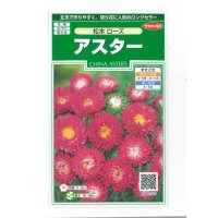 花の種　アスター　松本ローズ　約190粒　（株）サカタのタネ　実咲250