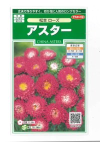 花の種　アスター　松本ローズ　約190粒　（株）サカタのタネ　実咲250
