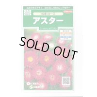 送料無料　花の種　アスター　松本ローズ　約190粒　(株)サカタのタネ　実咲250（026207）