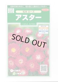 送料無料　花の種　アスター　松本ローズ　約190粒　(株)サカタのタネ　実咲250（026207）