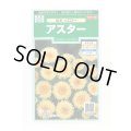 送料無料　花の種　アスター　松本イエロー　約190粒　(株)サカタのタネ　実咲250（026209）