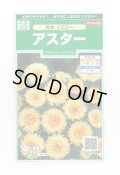 送料無料　花の種　アスター　松本イエロー　約190粒　(株)サカタのタネ　実咲250（026209）