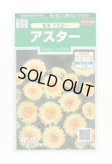 送料無料　花の種　アスター　松本イエロー　約190粒　(株)サカタのタネ　実咲250（026209）