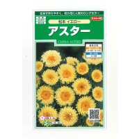 花の種　アスター　松本イエロー　約190粒　（株）サカタのタネ　実咲250