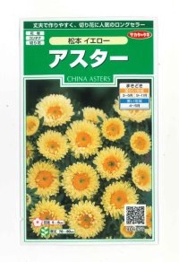 花の種　アスター　松本イエロー　約190粒　（株）サカタのタネ　実咲250