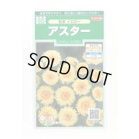 送料無料　花の種　アスター　松本イエロー　約190粒　(株)サカタのタネ　実咲250（026209）