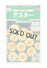 送料無料　花の種　アスター　松本イエロー　約190粒　(株)サカタのタネ　実咲250（026209）