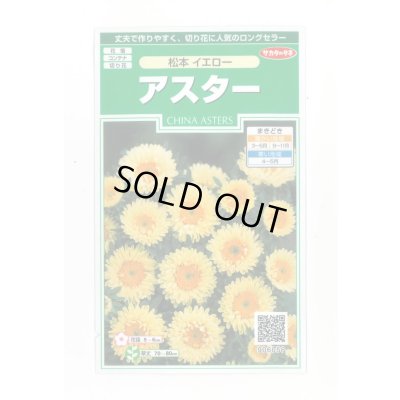 画像1: 送料無料　花の種　アスター　松本イエロー　約190粒　(株)サカタのタネ　実咲250（026209）