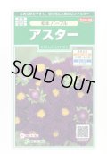 送料無料　花の種　アスター　松本パープル　約190粒　(株)サカタのタネ　実咲250（026210）