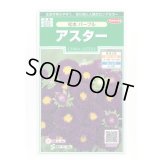 送料無料　花の種　アスター　松本パープル　約190粒　(株)サカタのタネ　実咲250（026210）