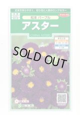 送料無料　花の種　アスター　松本パープル　約190粒　(株)サカタのタネ　実咲250（026210）