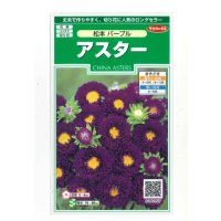 花の種　アスター　松本パープル　約190粒　（株）サカタのタネ　実咲250