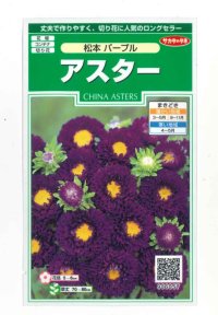 花の種　アスター　松本パープル　約190粒　（株）サカタのタネ　実咲250