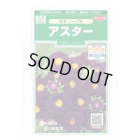 送料無料　花の種　アスター　松本パープル　約190粒　(株)サカタのタネ　実咲250（026210）