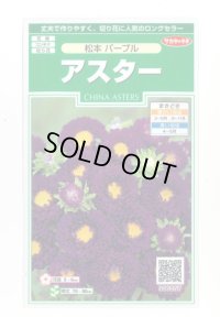 送料無料　花の種　アスター　松本パープル　約190粒　(株)サカタのタネ　実咲250（026210）