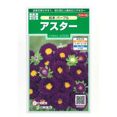画像1: 花の種　アスター　松本パープル　約190粒　（株）サカタのタネ　実咲250