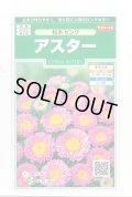 送料無料　花の種　アスター　松本ピンク　約190粒　(株)サカタのタネ　実咲250（026208）