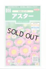送料無料　花の種　アスター　松本ピンク　約190粒　(株)サカタのタネ　実咲250（026208）