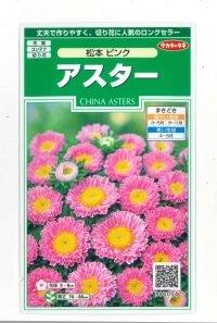 花の種　アスター　松本ピンク　約190粒　（株）サカタのタネ　実咲250