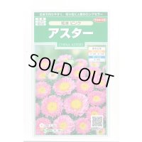送料無料　花の種　アスター　松本ピンク　約190粒　(株)サカタのタネ　実咲250（026208）