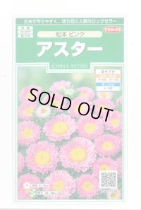 送料無料　花の種　アスター　松本ピンク　約190粒　(株)サカタのタネ　実咲250（026208）