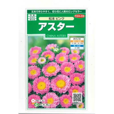 画像1: 花の種　アスター　松本ピンク　約190粒　（株）サカタのタネ　実咲250