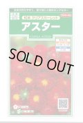 送料無料　花の種　アスター　松本クリアスカーレット　約190粒　(株)サカタのタネ　実咲250（026206）