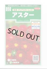 送料無料　花の種　アスター　松本クリアスカーレット　約190粒　(株)サカタのタネ　実咲250（026206）