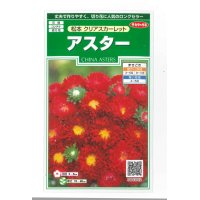 花の種　アスター　松本クリアスカーレット　約190粒　（株）サカタのタネ　実咲250