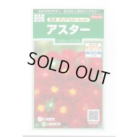 送料無料　花の種　アスター　松本クリアスカーレット　約190粒　(株)サカタのタネ　実咲250（026206）