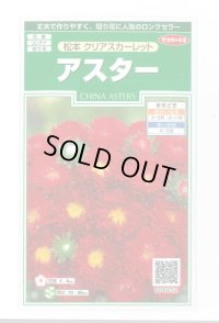 送料無料　花の種　アスター　松本クリアスカーレット　約190粒　(株)サカタのタネ　実咲250（026206）