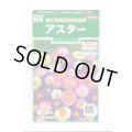 送料無料　花の種　アスター　松本　パステルミックス　約190粒　(株)サカタのタネ　実咲250（026213）