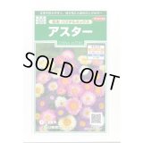 送料無料　花の種　アスター　松本　パステルミックス　約190粒　(株)サカタのタネ　実咲250（026213）