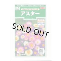 送料無料　花の種　アスター　松本　パステルミックス　約190粒　(株)サカタのタネ　実咲250（026213）