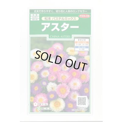 画像1: 送料無料　花の種　アスター　松本　パステルミックス　約190粒　(株)サカタのタネ　実咲250（026213）