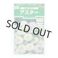 送料無料　花の種　アスター　松本ホワイト　約190粒　(株)サカタのタネ　実咲250（026211）