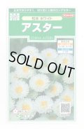 送料無料　花の種　アスター　松本ホワイト　約190粒　(株)サカタのタネ　実咲250（026211）