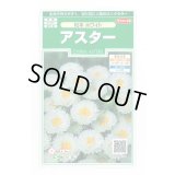 送料無料　花の種　アスター　松本ホワイト　約190粒　(株)サカタのタネ　実咲250（026211）