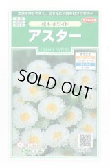 送料無料　花の種　アスター　松本ホワイト　約190粒　(株)サカタのタネ　実咲250（026211）