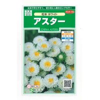 花の種　アスター　松本ホワイト　約190粒　（株）サカタのタネ　実咲250