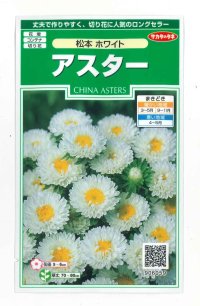 花の種　アスター　松本ホワイト　約190粒　（株）サカタのタネ　実咲250