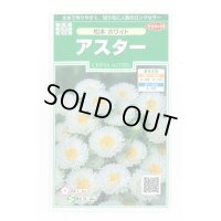 送料無料　花の種　アスター　松本ホワイト　約190粒　(株)サカタのタネ　実咲250（026211）