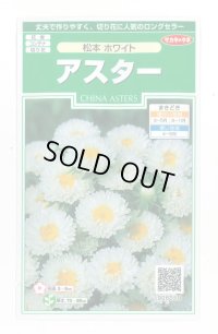 送料無料　花の種　アスター　松本ホワイト　約190粒　(株)サカタのタネ　実咲250（026211）