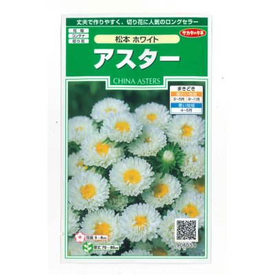 画像1: 花の種　アスター　松本ホワイト　約190粒　（株）サカタのタネ　実咲250