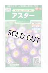 送料無料　花の種　アスター　松本トップパープル　約190粒　(株)サカタのタネ　実咲250（026212）