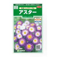 花の種　アスター　松本トップパープル　約190粒　（株）サカタのタネ　実咲250