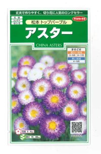 花の種　アスター　松本トップパープル　約190粒　（株）サカタのタネ　実咲250