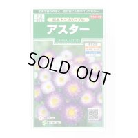 送料無料　花の種　アスター　松本トップパープル　約190粒　(株)サカタのタネ　実咲250（026212）