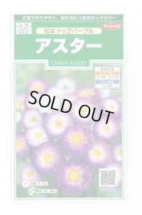 送料無料　花の種　アスター　松本トップパープル　約190粒　(株)サカタのタネ　実咲250（026212）