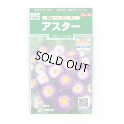 画像1: 送料無料　花の種　アスター　松本トップパープル　約190粒　(株)サカタのタネ　実咲250（026212）
